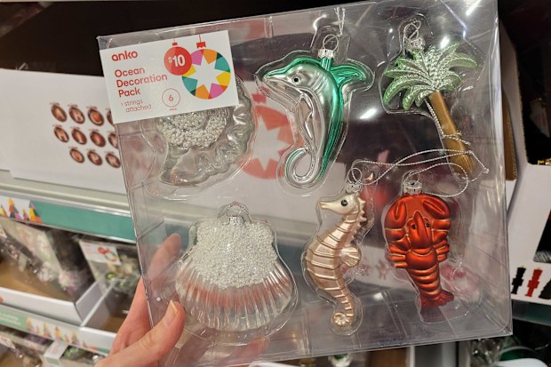 Ocean Decoration Pack Kmart
