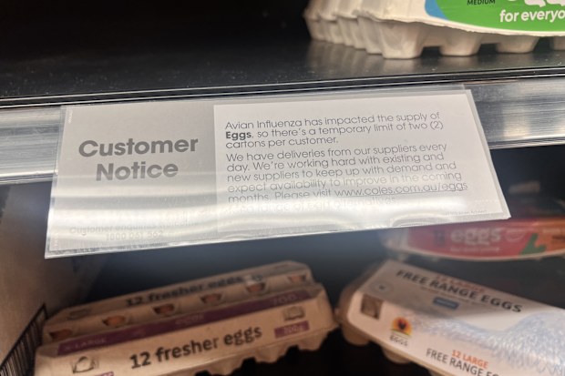 Coles eggs