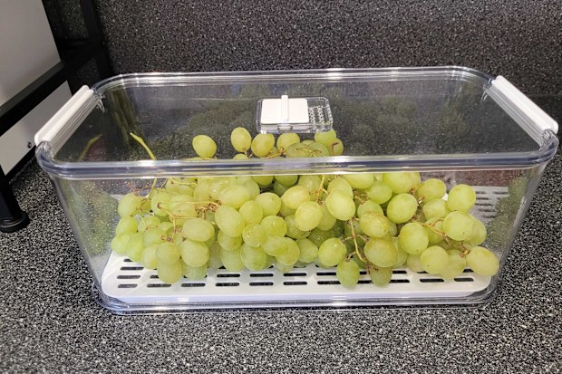 Kmart fridge storage container