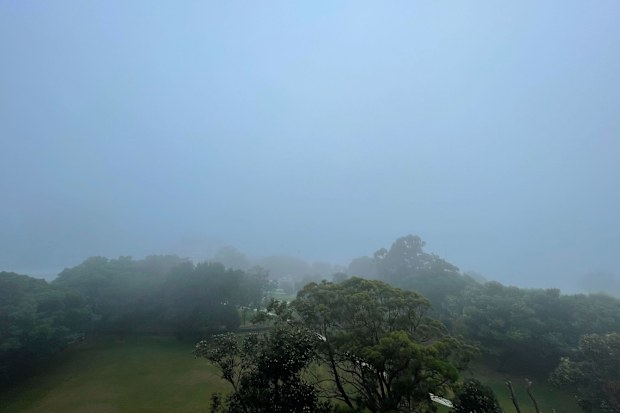Sydney fog