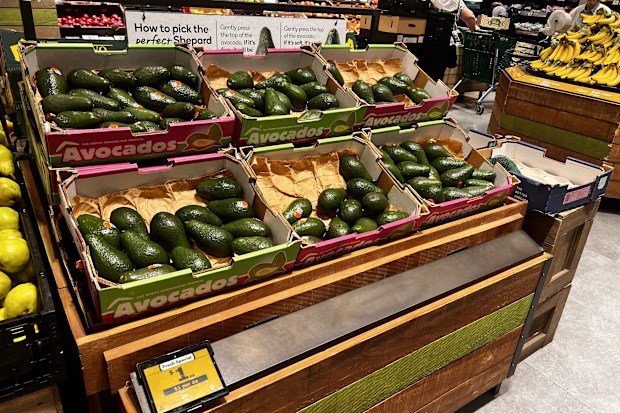 woolworths avocadoes