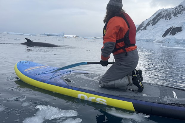 tina dalton antarctica cruise getaway scenic eclipse