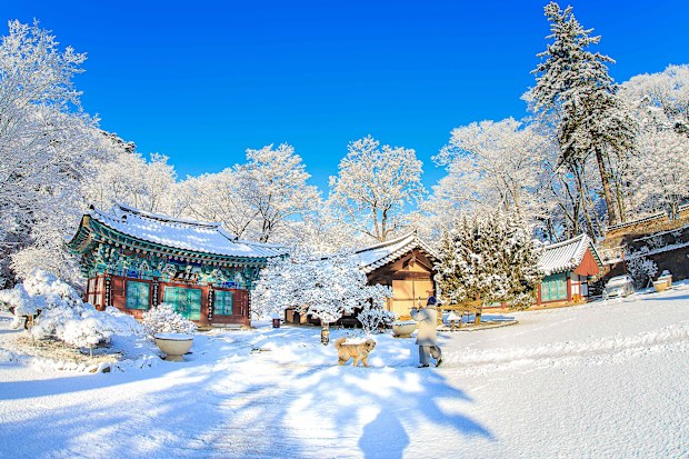 south korea winter travel
