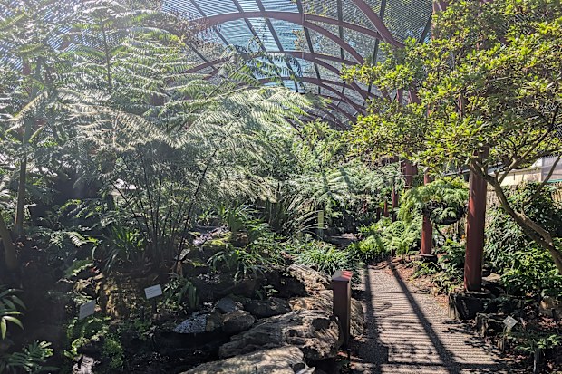 The Botanic Gardens in Sydney never ceases to amaze and wonder.