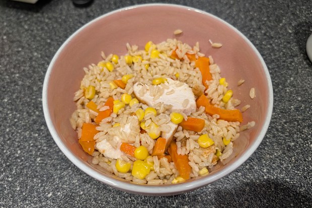 Rice with chicken breast cooked in Kmart 2L mini air fryer