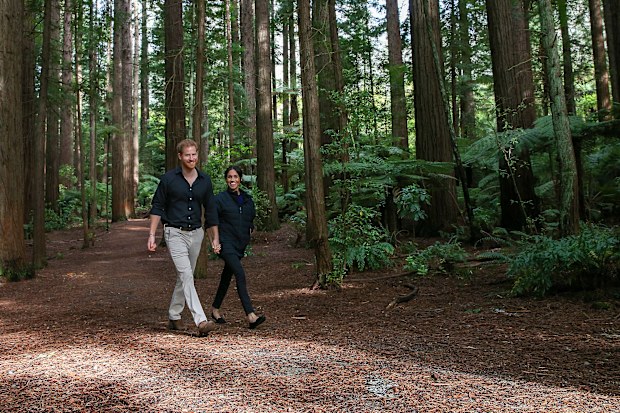 Meghan and Harry on a peaceful walk among the trees in the Redwood Memorial Grove, while touring New Zealand in 2018.