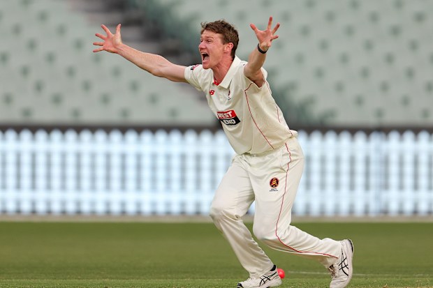 Brendan Doggett of South Australia  appeals for a wicket.