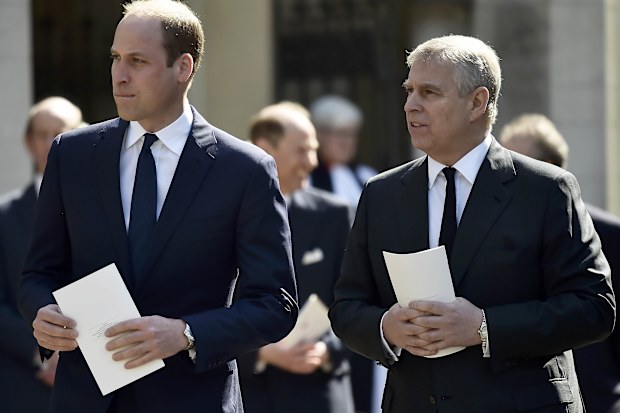 prince andrew and prince willliam