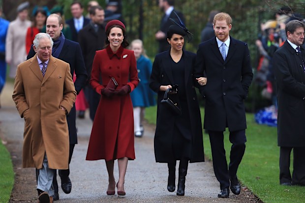 king charles and prince harry
