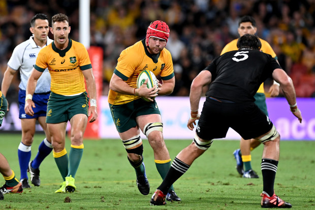 Harry Wilson of the Wallabies takes on the defence during the 2020 Tri-Nations match between the Australian Wallabies and the New Zealand All Blacks 