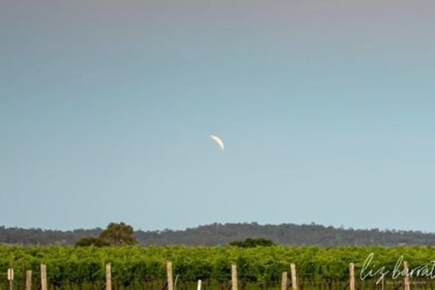 Liz Barratt sent in this photo of the partial lunar eclipse over Moffatdale, Queensland