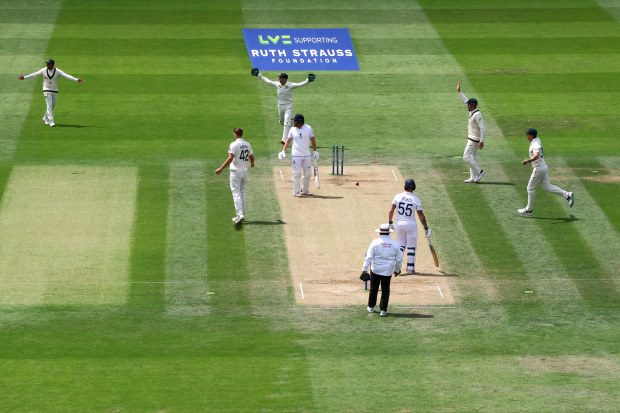 Australia players appeal for the wicket of England's Jonny Bairstow, stumped by Australia's Alex Carey.