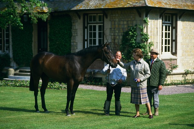 Queen Elizabeth II of Britain examines a horse at Le Quesnay horse farm near Deauville. 