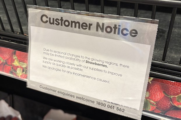 strawberries shortage