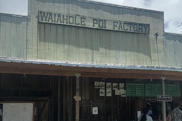 Hawaii famil: Waihole Poi Factory