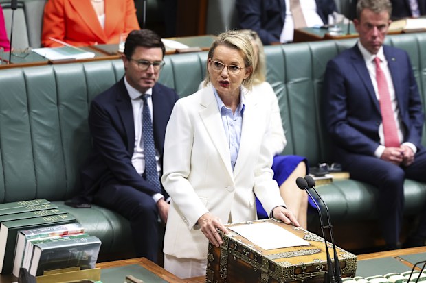 Opposition leader Sussan Ley during the opening of the 48th Parliament, at Parliament House in Canberra on Tuesday 22 July 2025. fedpol Photo: Alex Ellinghausen