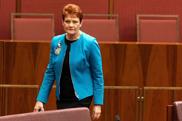 Pauline Hanson in the Senate