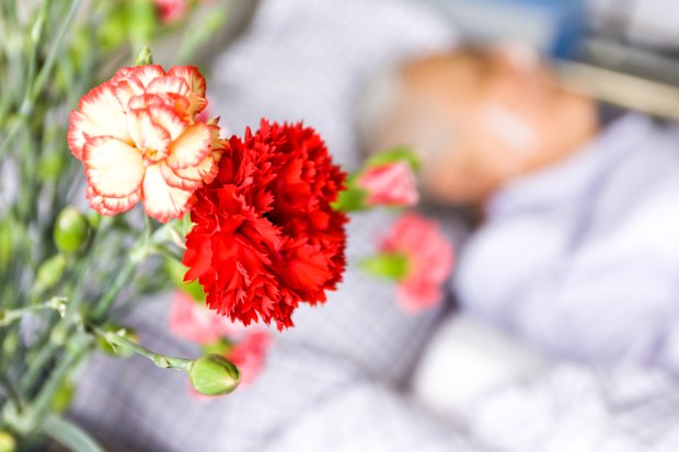 flowers for care in patient room