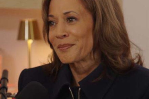 Kamala Harris went on the popular Call Her Daddy podcast in the USA.