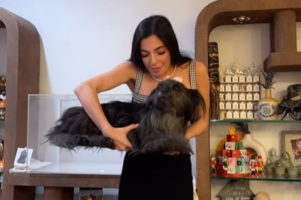 Chloe Chung, known as Mistricks online, with her freeze-dried taxidermy dog 