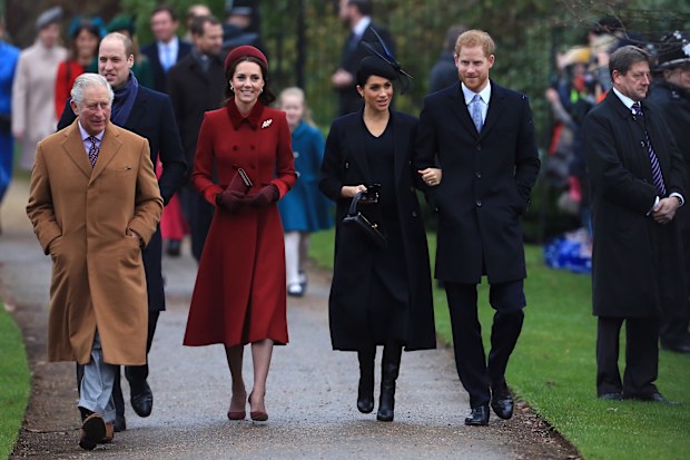 king charles and prince harry