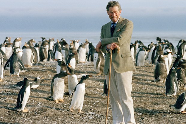  Prince Charles Leaning On His Crook As He Watches The Gentoo Penguins During His Visit To Sea Lion Island In The Falkland Isles.
