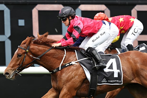 Horse racing 2024: Golden Slipper favourite 'King Kirk' drowns in freak ...