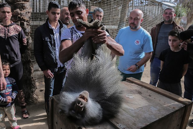 The landlord was exposed to financial distress. (Photo by Yousef Masoud 