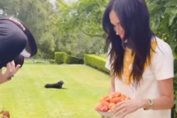meghan as ever video with princess lilibet