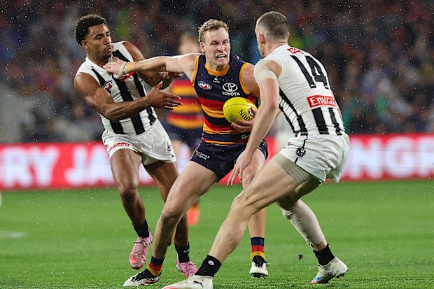 ADELAIDE , AUSTRALIA - AUGUST 16: Jordan Dawson of the Crows and Isaac Quaynor of the Magpies and Darcy Cameron of the Magpies during the 2025 AFL Round 23 match between the Adelaide Crows and the Collingwood Magpies at Adelaide Oval on August 16, 2025 in Adelaide, Australia. (Photo by Sarah Reed/AFL Photos via Getty Images)
