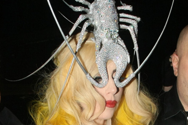 lady gaga lobster dress Lady Gaga in a lobster hat made by Philip Treacy in London, 2010! The hat  was made of Swarovski crystals! #philiptreacy #philiptreacyarchive  #hatdesigner #hatfashion #swarovski #ladygaga #ladygagafashion #lobsterhat