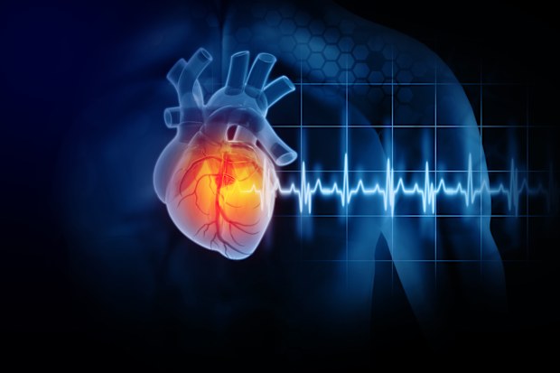 Heart attack and heart disease. 3D illustration