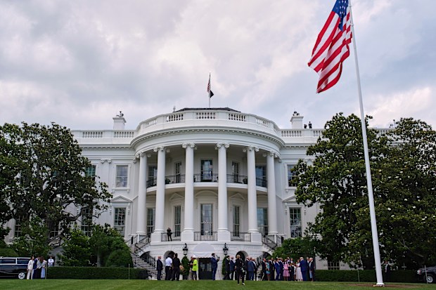A newly installed flag pole stands on the South Lawn of the White House, Wednesday, June 18, 2025, in Washington. (AP Photo/Evan Vucci)