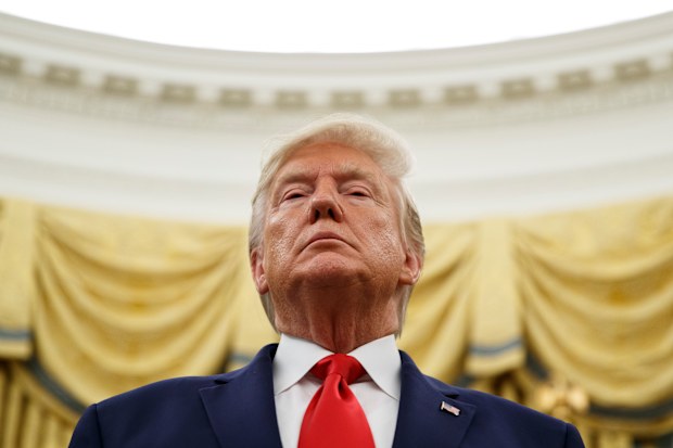 There are four strong contenders who could see current US leader Donald Trump ousted in next year's presidential election.