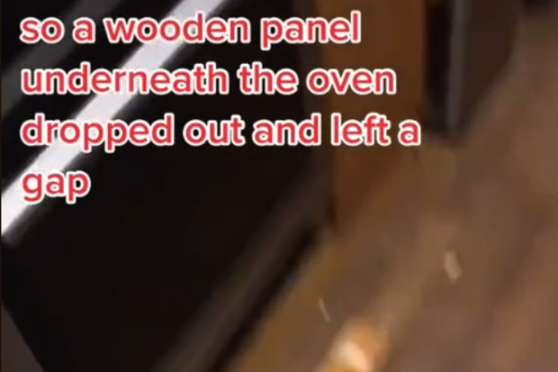 Woman's series of discoveries behind oven
