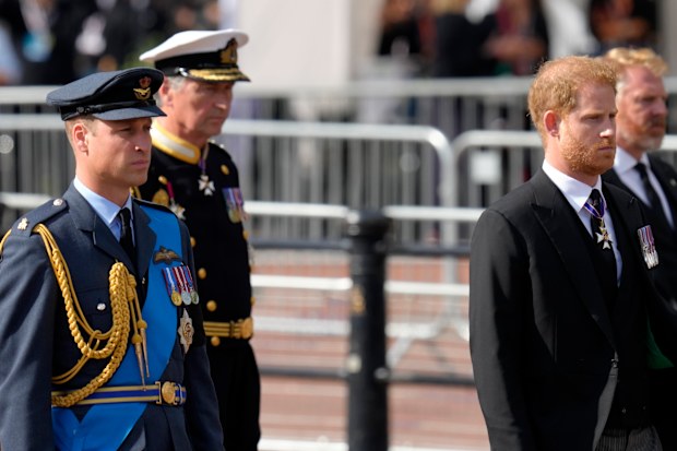 Harry follows Queen Elizabeth coffin