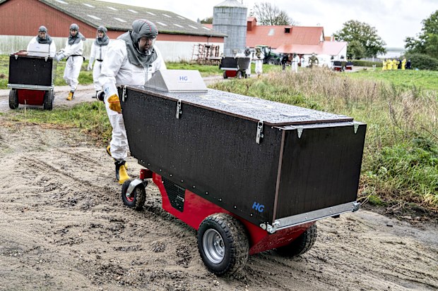 Employees from the Danish Veterinary and Food Administration and the Danish Emergency Management Agency transport a container at a mink farm, in Gjoel, Denmark