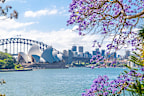 Sydney, Australia. - On November 02, 2017.  The view of Opera house from royal botanic garden with Jacaranda mimosifolia flower in the spring season.