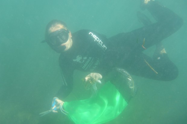 Dr Joanna Day collecting sea grass samples on the NSW coast.