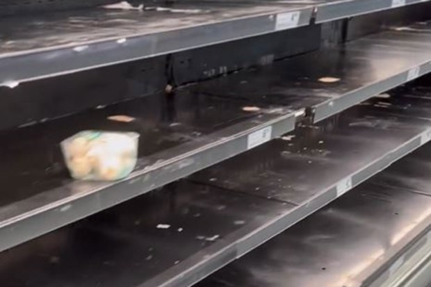 Egg shortage