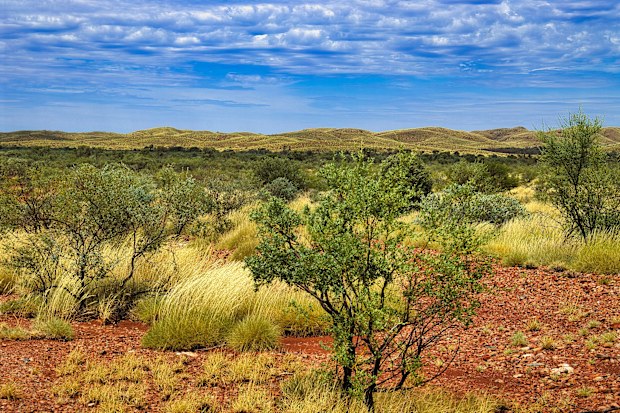 Pilbara 