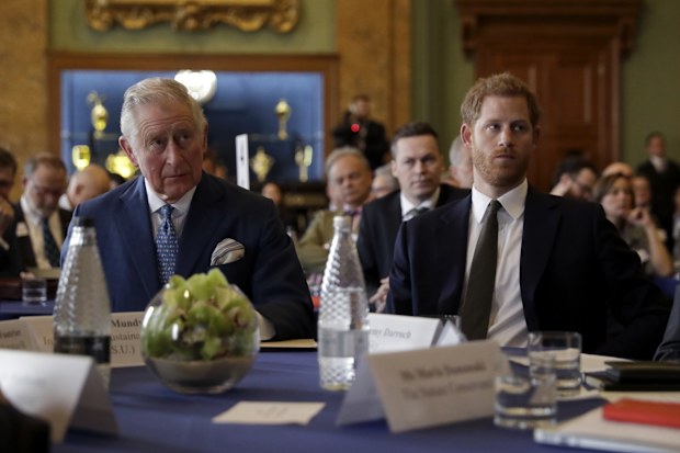 king charles and prince harry