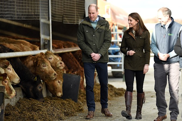 Kate Middleton Prince William royal tour of Ireland day two