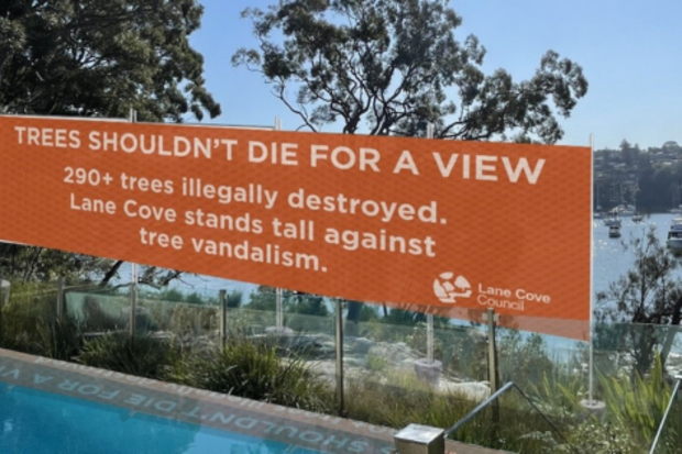 Standing tall against tree vandalism