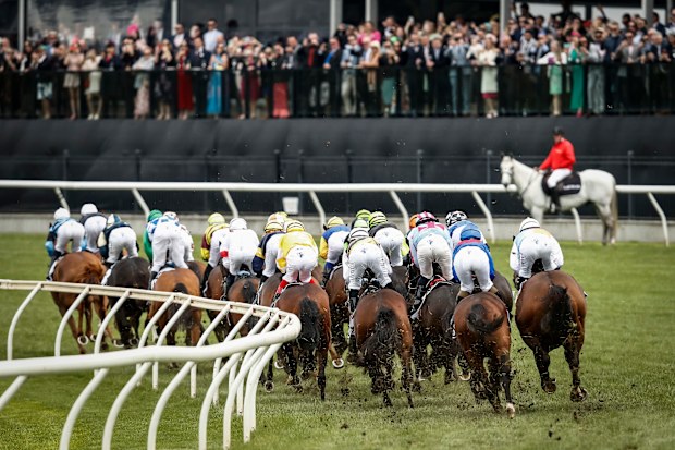 The field runs past the post for the first time in race 7 the Lexus Melbourne Cup.