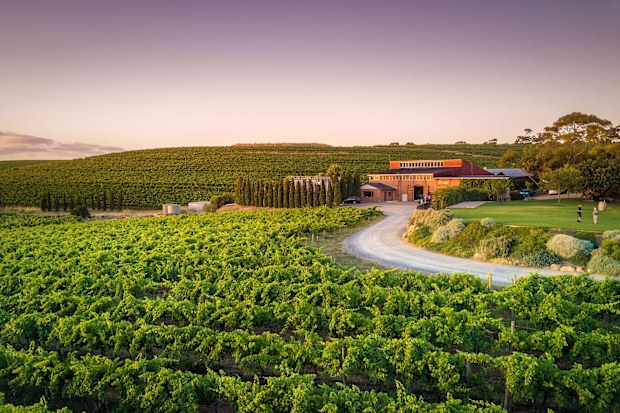 Where to travel in Spring - McLaren Vale