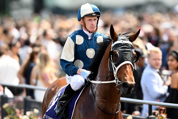 Daniel Moor riding Muramasa wins the Queen Elizabeth Stakes.