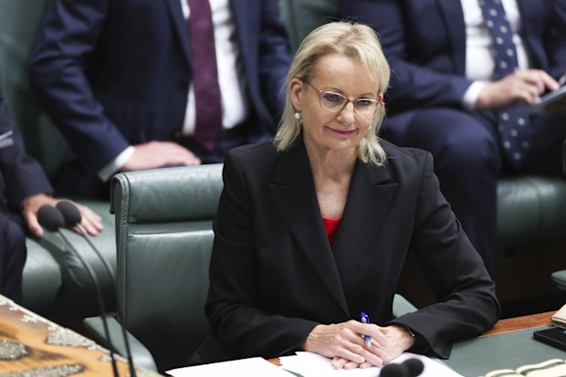 Acting Leader of the Opposition Sussan Ley during Question Time at Parliament House in Canberra on Monday 25 November 2024. 