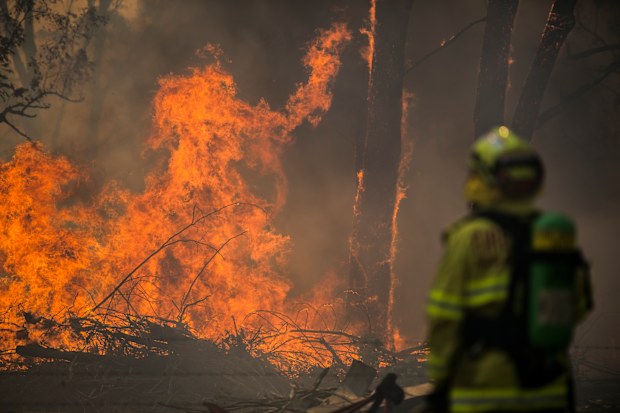 Black Summer bushfires: Coroner hands down report, recommendations into ...