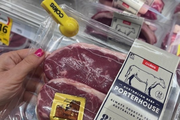coles meat security tags 